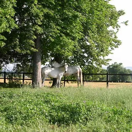Le Cavalier * Caraman